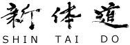 Japanese character (kanji)